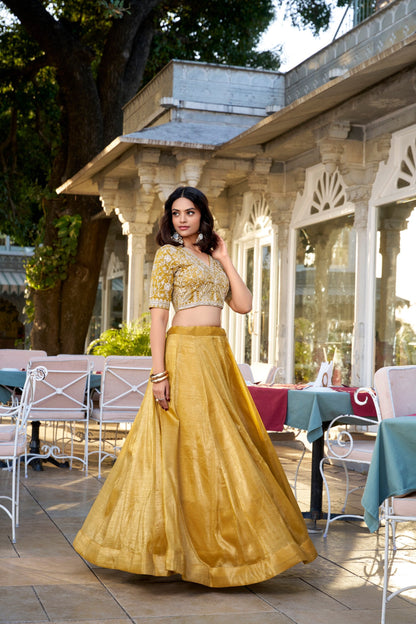 Twinkling Elegance Zari and Embroidery Lehenga for Special Occasions