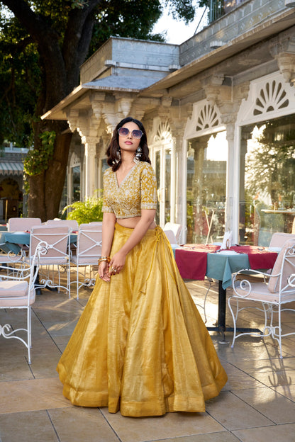 Twinkling Elegance Zari and Embroidery Lehenga for Special Occasions